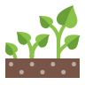 icons8-growing-plant-96 (1)